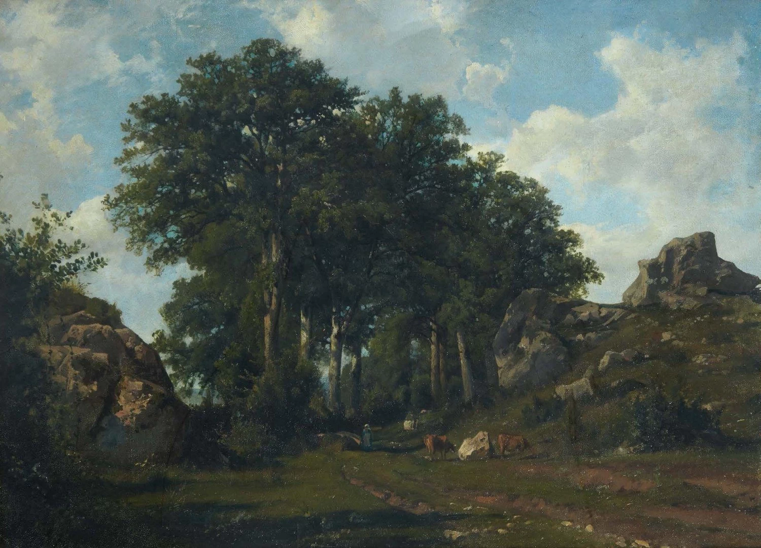 La Plaine des Rocailles vicino Laroche (Alta Savoia)